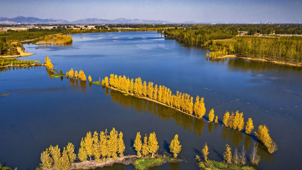 济宁十里湖生态湿地